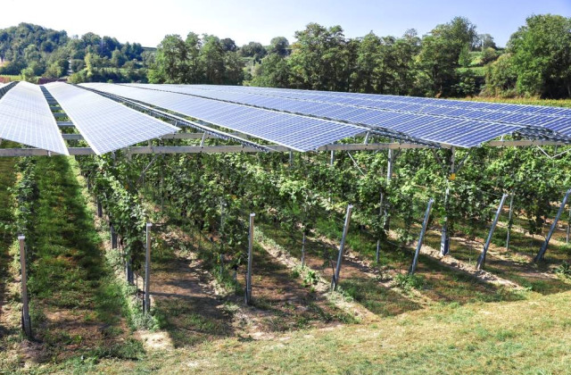 L’agrivoltaïsme dans le Var : une solution durable pour les vignobles et les terres agricoles