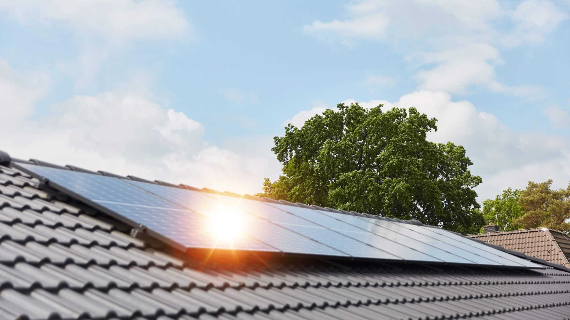 cvf-energie-production-ecologique-var-alpes-maritimes.jpg